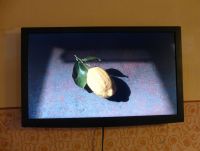 Judith Albert im Hotel Bregaglia